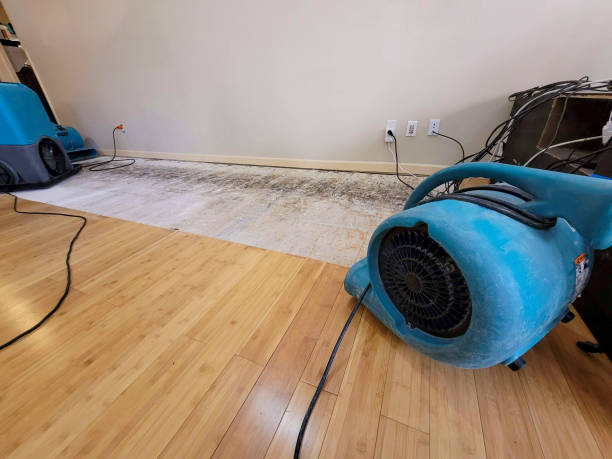 Professional Structural Drying technician working in Commerce, GA